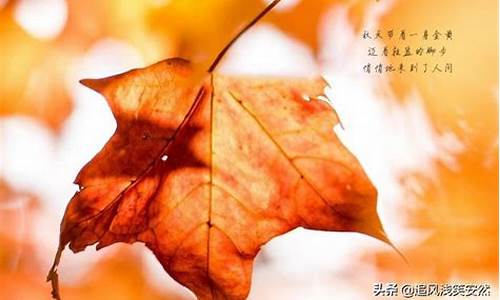 形容秋天的优美句子简短_形容秋天的优美句子简短和成语